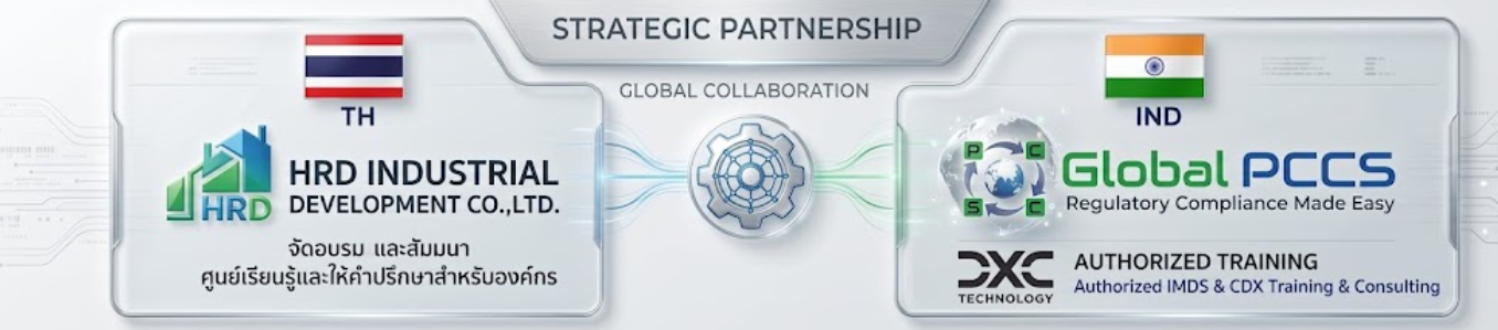 Our Partner